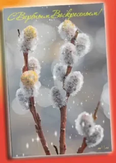 🌷