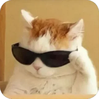 😎