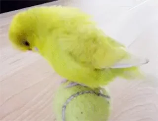 😀
