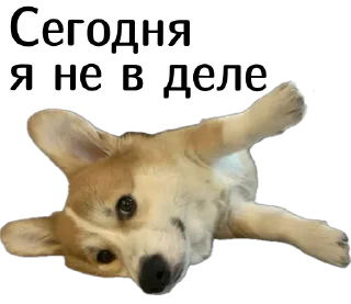 🙅‍♀️