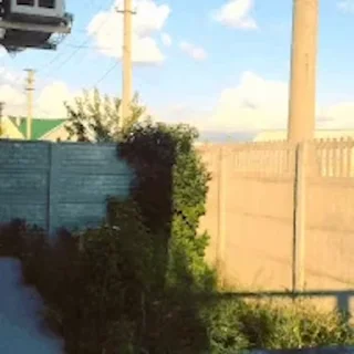 🐕