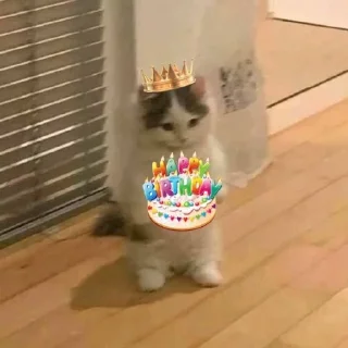 🥳