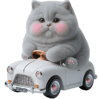 🚗