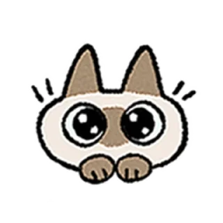 😺