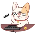 💻