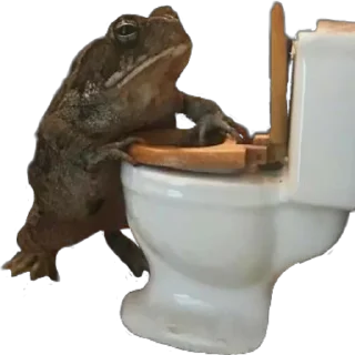 🚽