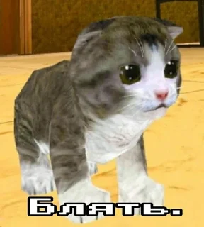 😺