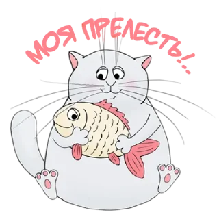 🐟