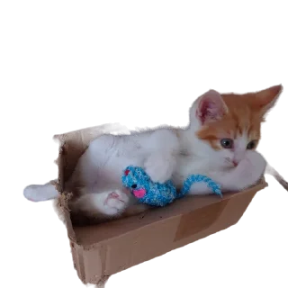 📦