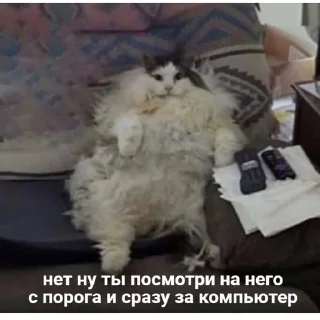 🧐