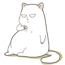 😾