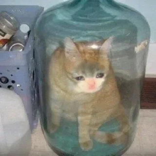 🥺