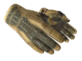 Csgo