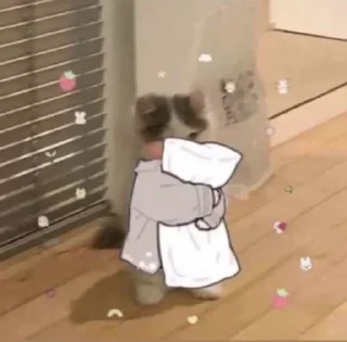 🛏