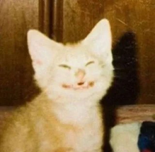😁