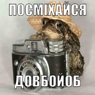 📷