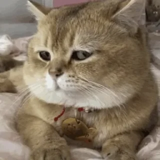 😕