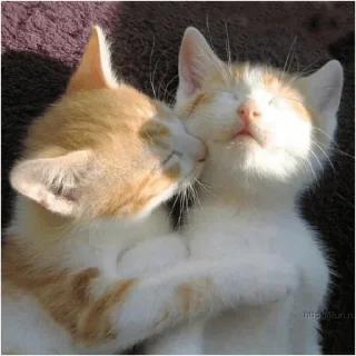 💗