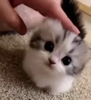 🥰