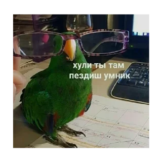 🤓