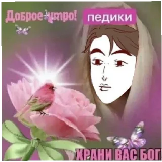 🌼