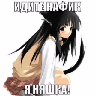 😸