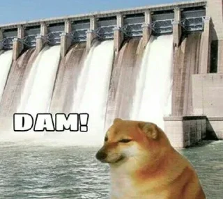🫡