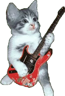 🎸