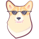 🐶