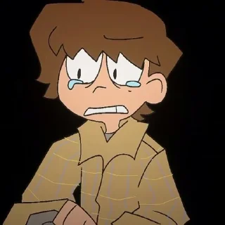 🌟