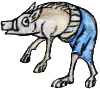 🐗