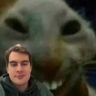 😎