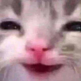 😄