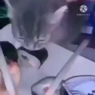 🤩