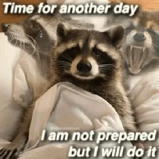 🫥