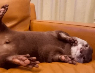 😍