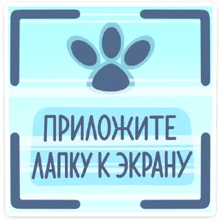 🐾