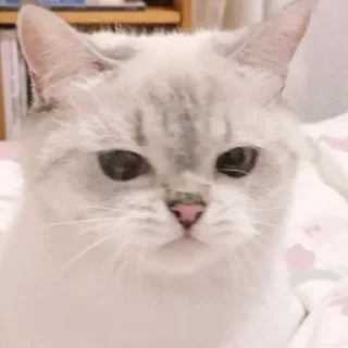 😒
