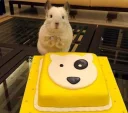 🎂