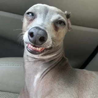 😬