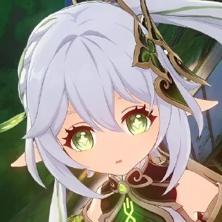 🌟