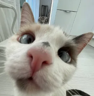 😳