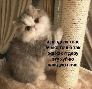 😡