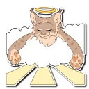 🙏