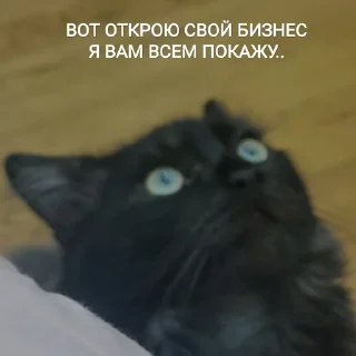 🧐