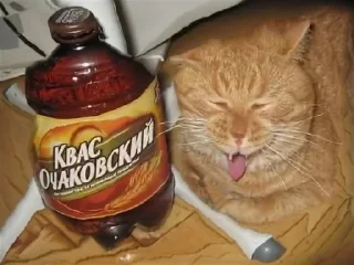 🍺
