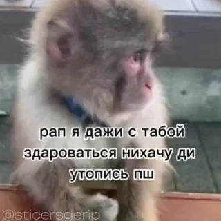 😍