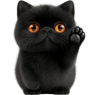 👋