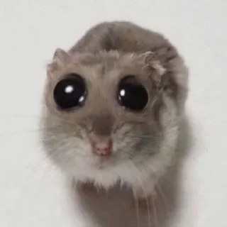 🥺