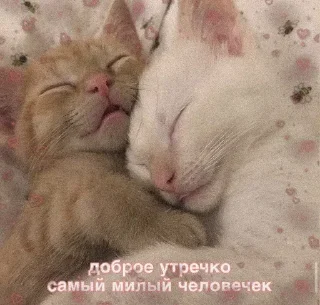 😴